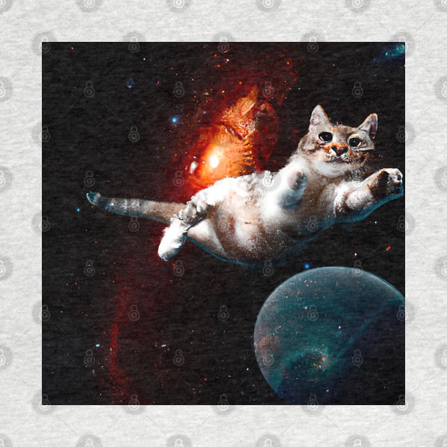 Cat in space by Mr Youpla